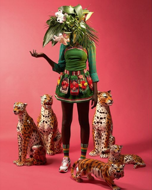 Carousel Image number 4